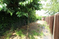 Images for New Street, Lutterworth