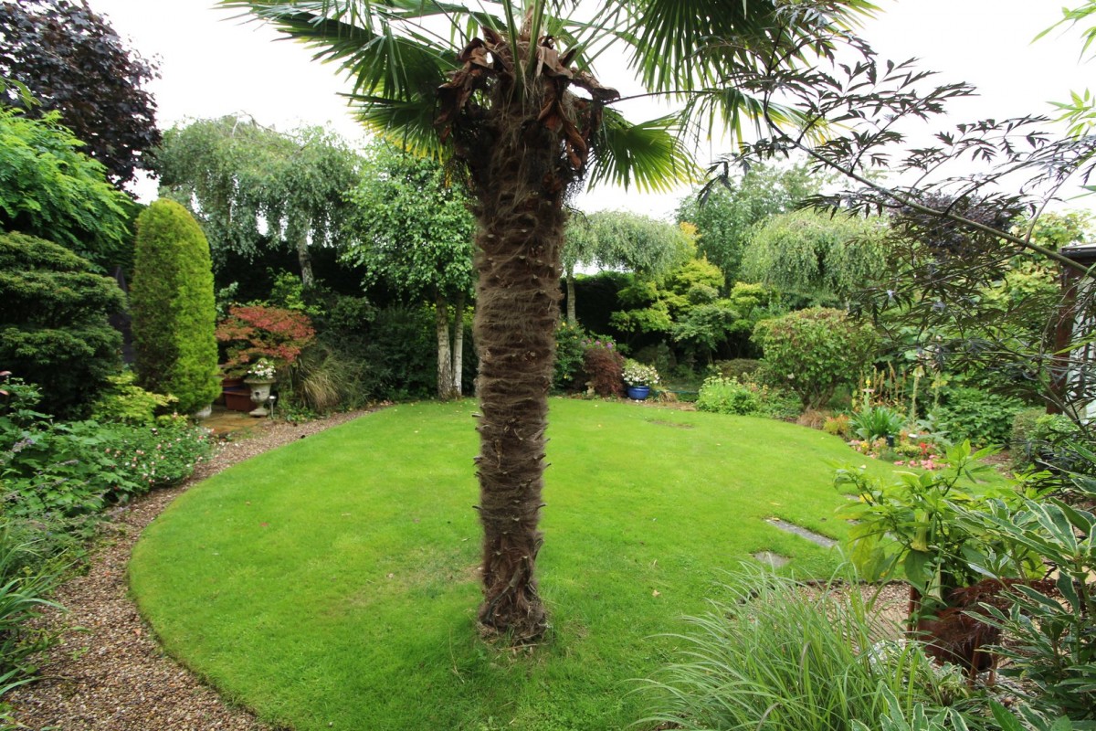 Images for Cunningham Drive, Lutterworth