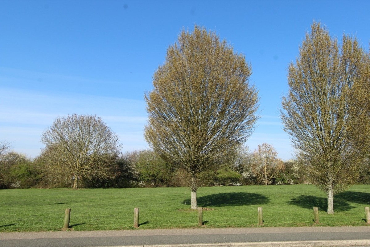 Images for Lilac Drive, Lutterworth