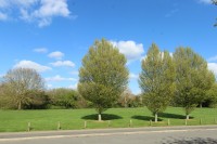 Images for Lilac Drive, Lutterworth
