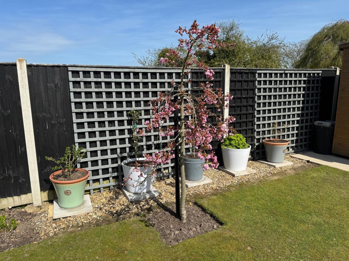 Images for Bessey Close, Filby