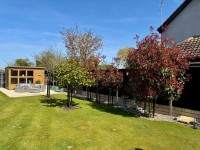 Images for Bessey Close, Filby