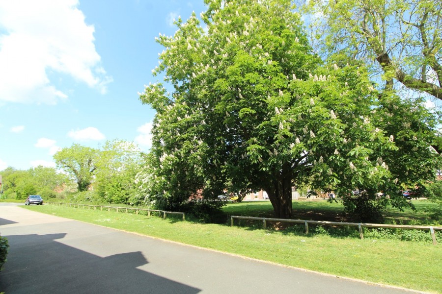 Images for Leaders Way, Lutterworth